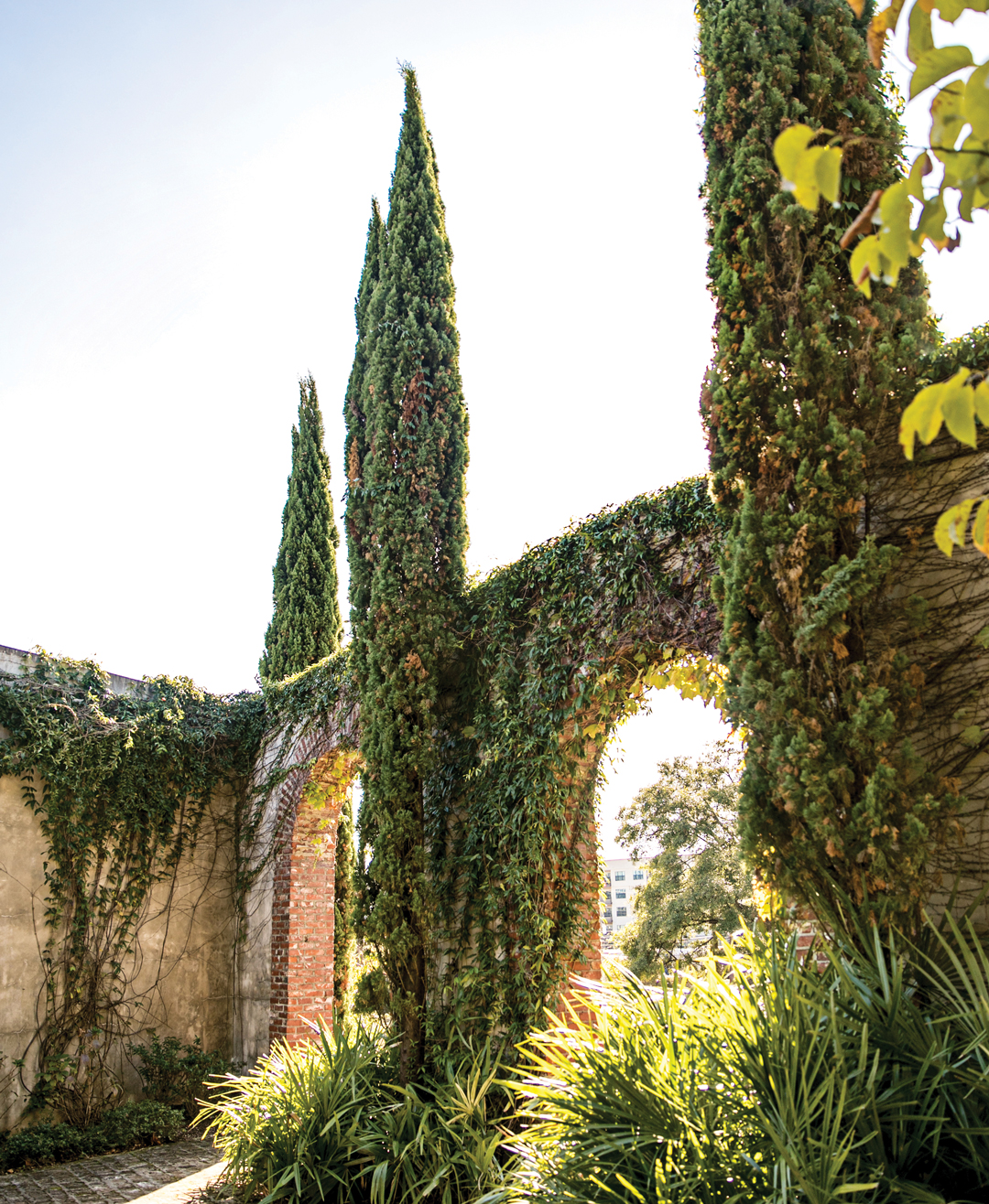 Garden Spritz Aperitif Party