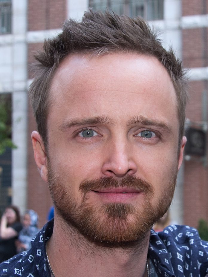 Aaron Paul supporting actor