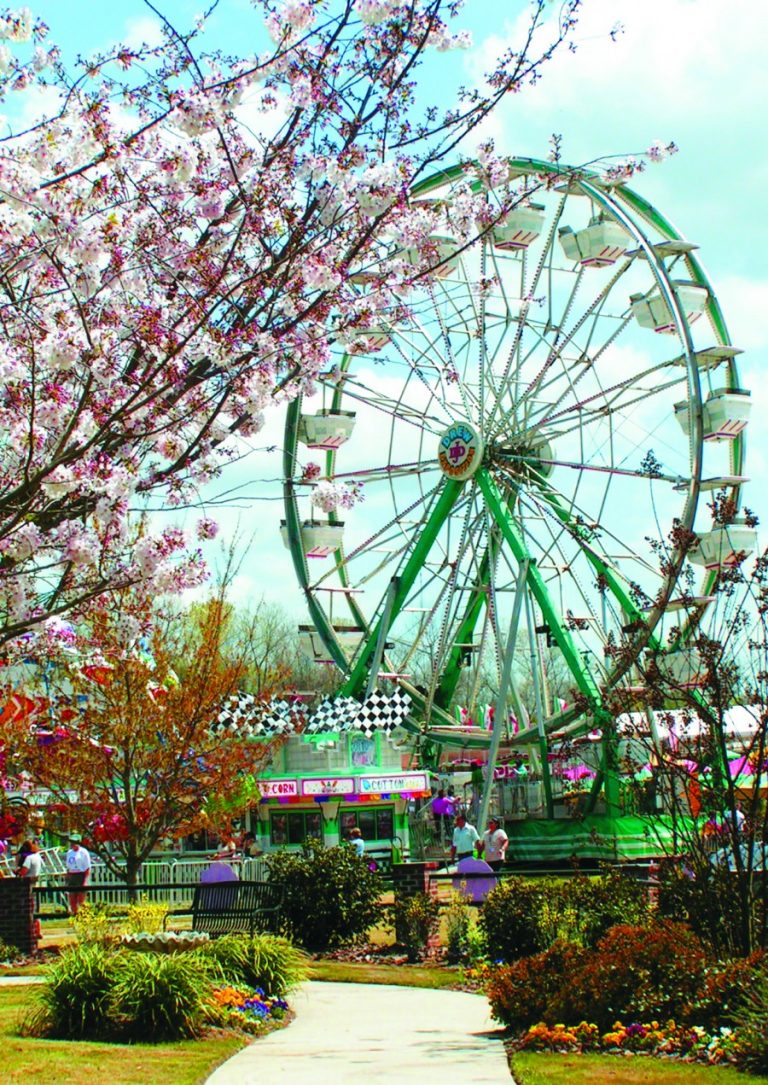 Say hello to spring at Macon’s International Cherry Blossom Festival