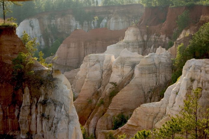 are dogs allowed at providence canyon