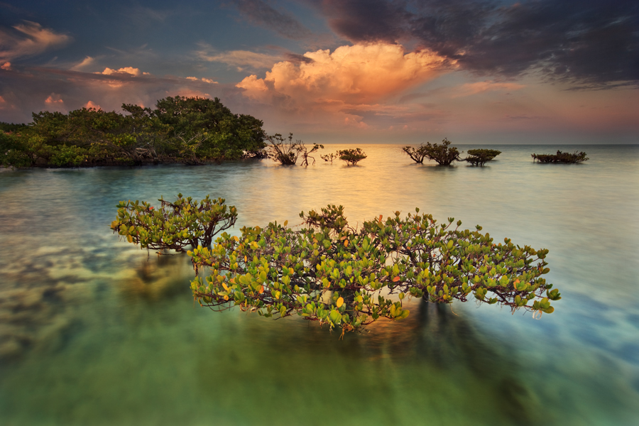 biscayne national underwater park