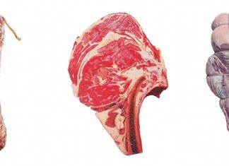 Kerry Escobedo meat paintings