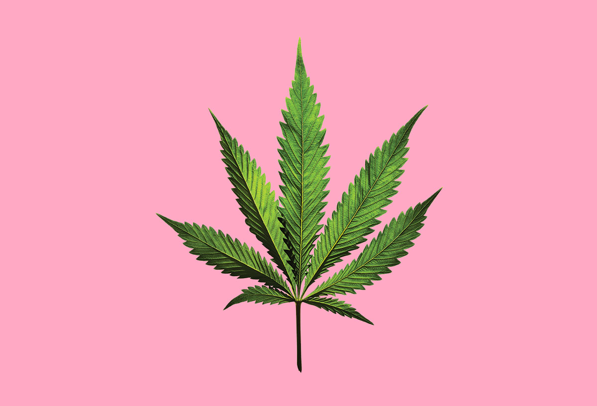 Learn Before You Burn What To Know About Atlanta S New Marijuana Law Atlanta Magazine