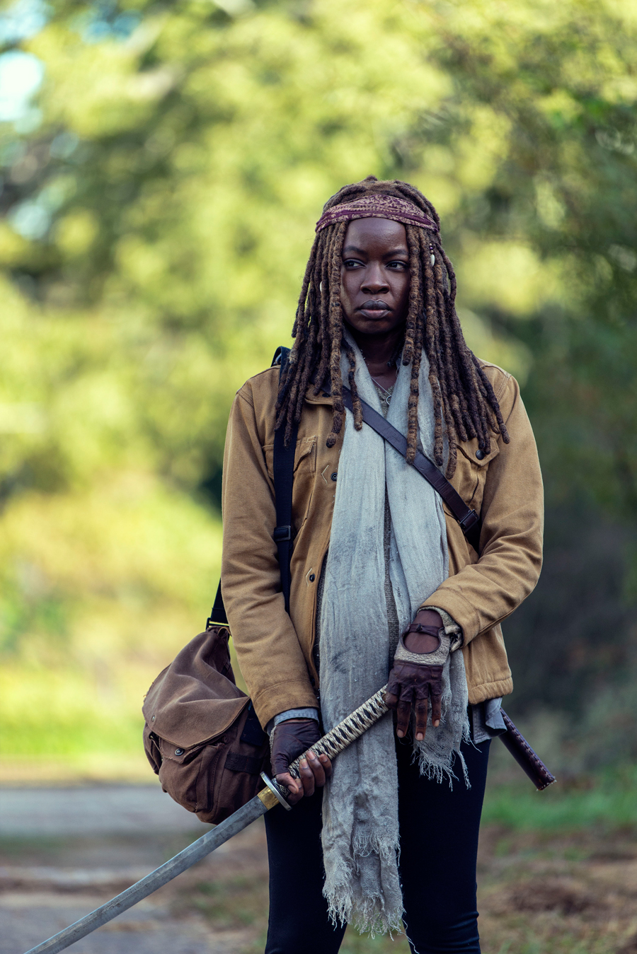 The walking dead michonne сколько всего эпизодов