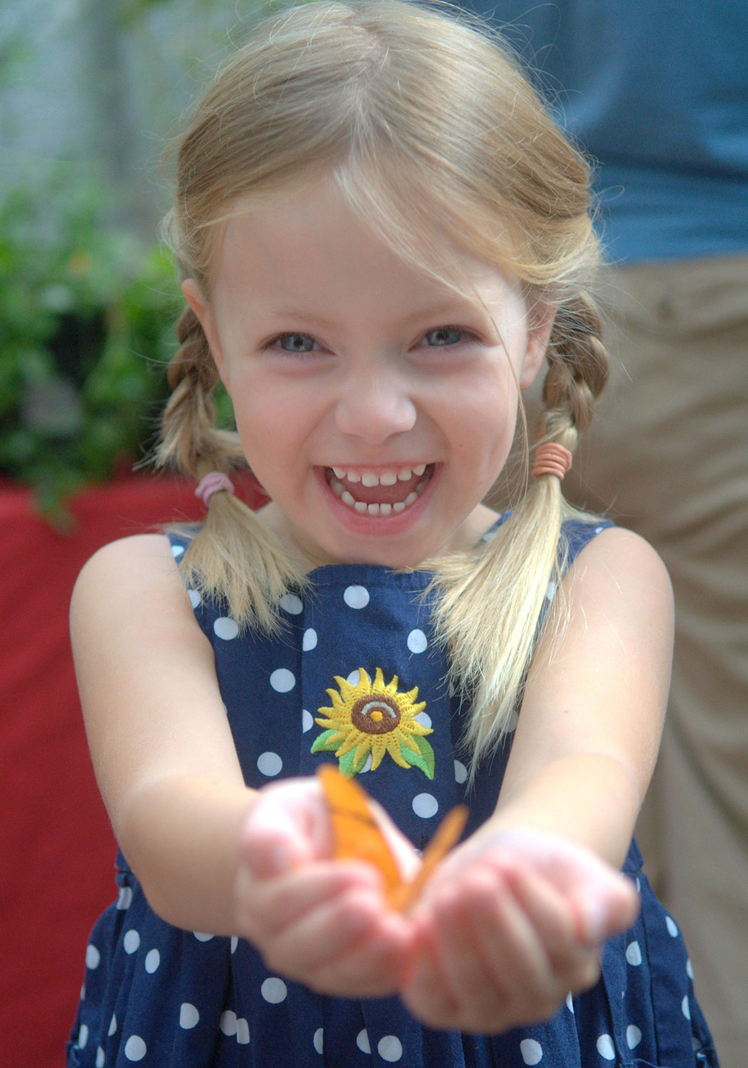 Dunwoody Butterfly Festival