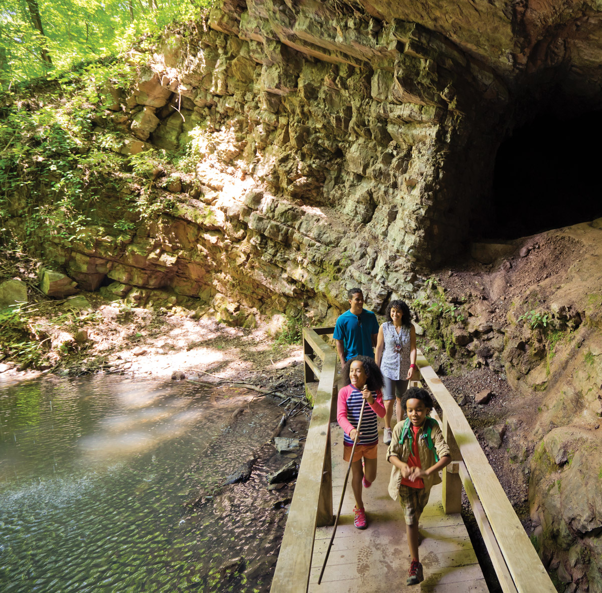 North Georgia Hiking Trails Our Top 10 Favorite Hikes Ng 5628