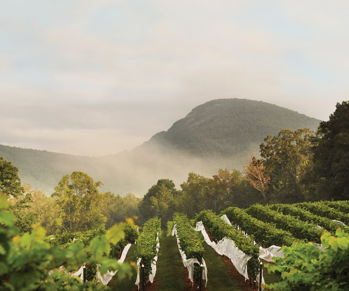 Wineries in Georgia