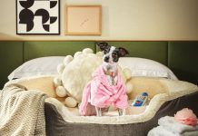 21 great pet-friendly hotels, patios, coffee shops, bars, and more in metro Atlanta