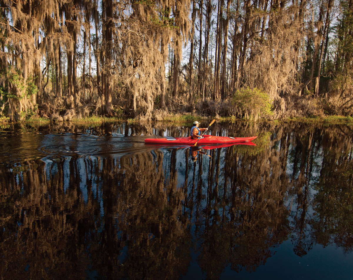 Okefenokee Swamp