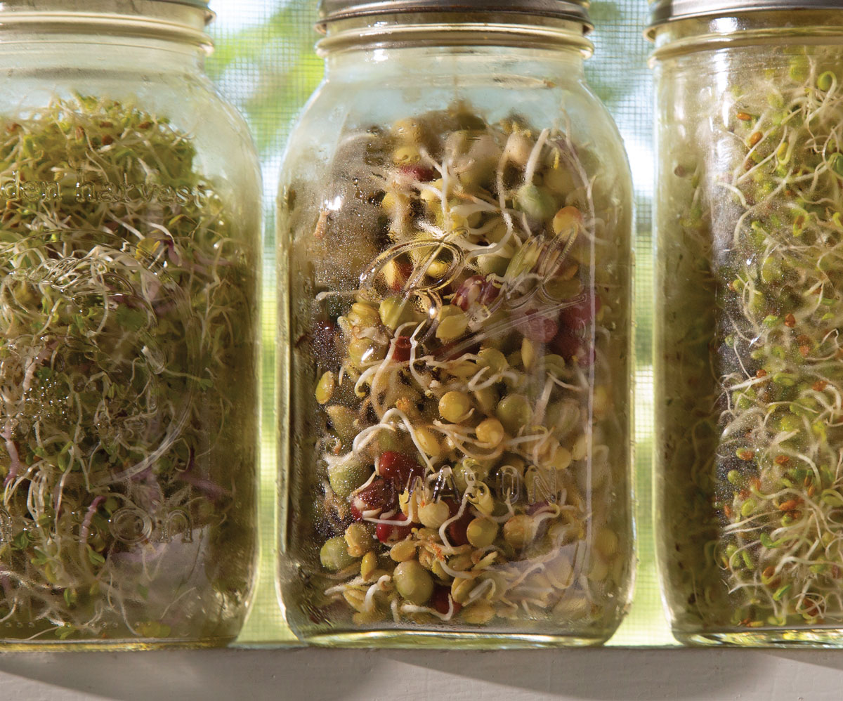 Taco Soup in a Jar-Little Sprouts Learning