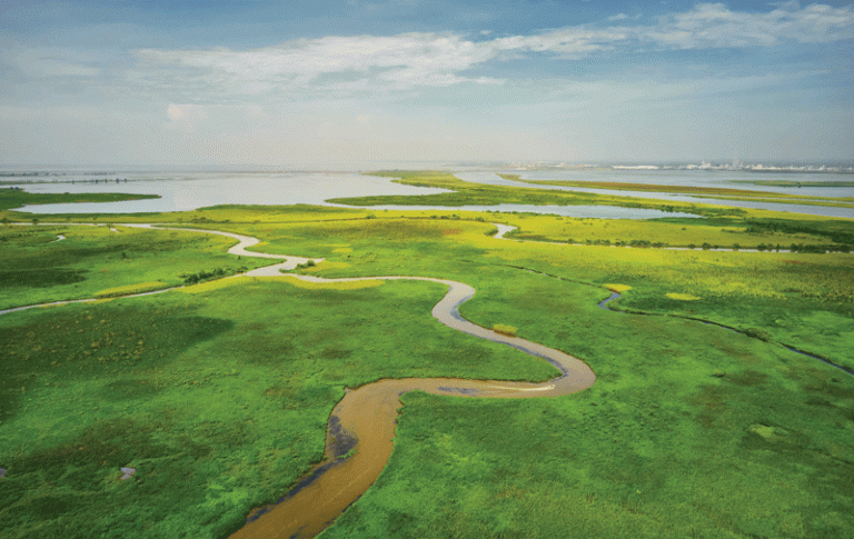 Where the Wild Things Are: A Trip Down Alabama’s Mobile-Tensaw River Delta