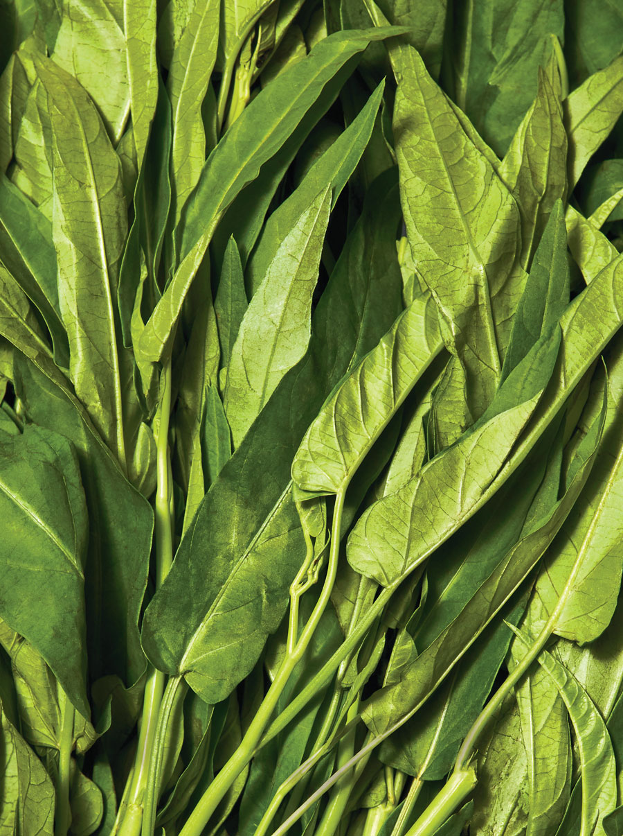 Water spinach 