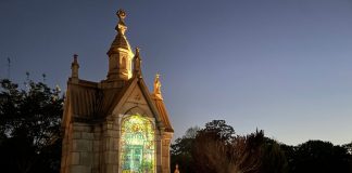 Oakland Cemetery’s Illumine returns with a celebration of trees