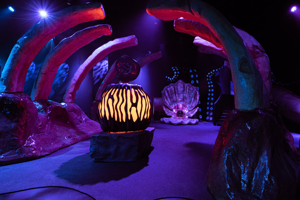 Under the Sea – Magic Moments Parties and Events