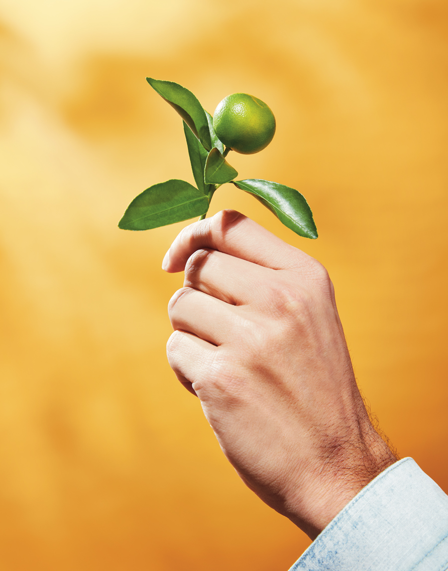 An Atlanta entrepreneur founded a company that will deliver you a petite citrus tree