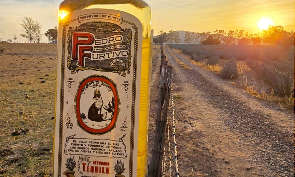 A new Atlanta-based tequila brand comes from third-generation agave farmers