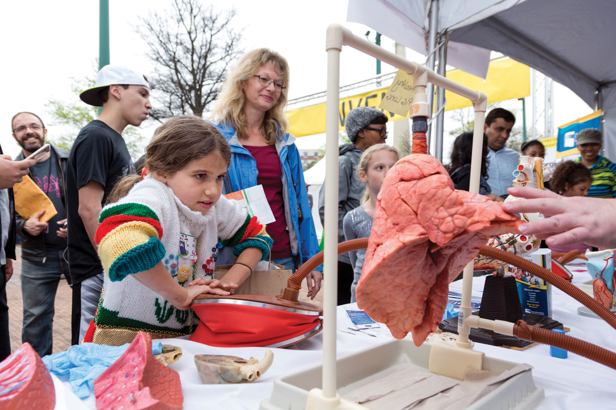 A girl inflating a pair of real lungs