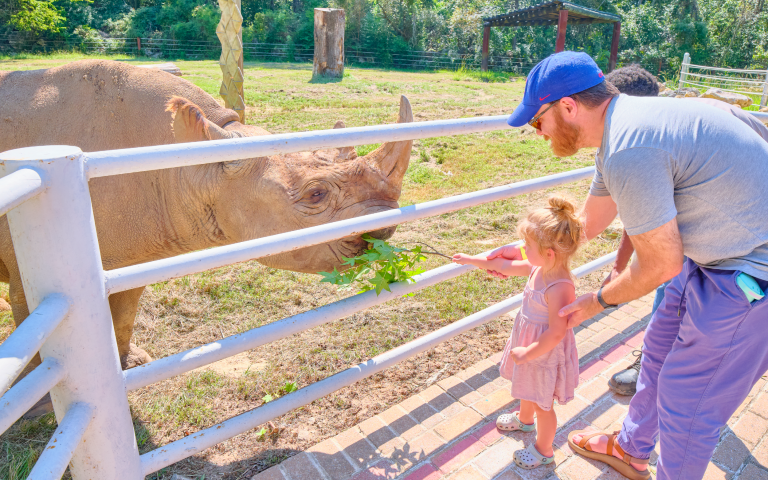 The Chehaw Park & Zoo