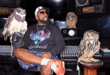 Big Boi sits in the recording studio with 3 owls (from left) Tula, HOO-Dini, and Hootie.