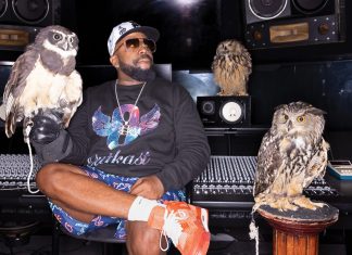 Big Boi sits in the recording studio with 3 owls (from left) Tula, HOO-Dini, and Hootie.