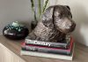 one of Dorri Buchholtz's dog artworks sits a top some books