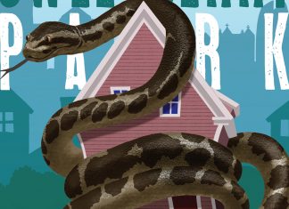 Atlanta journalist Josh Green's second novel tackles gentrification