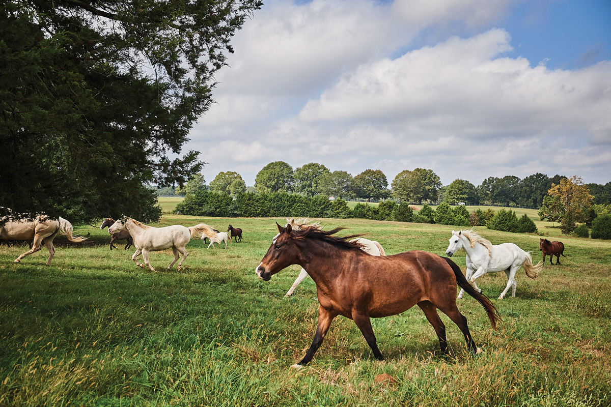 3 Georgia havens that encapsulate luxury travel 3 Georgia havens that encapsulate luxury travel