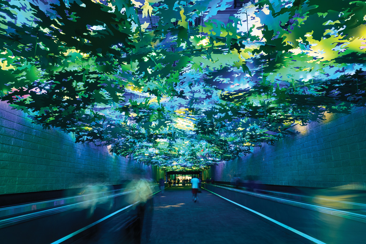 Flight Paths by Steve Waldeck, between Concourses A and B, is one of the only dark places in airport, with the sounds of rain and birds chirping in the background.