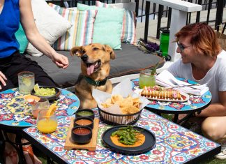Have a meal al fresco with the whole family: Where to find Atlanta’s dog- and kid-friendly patios