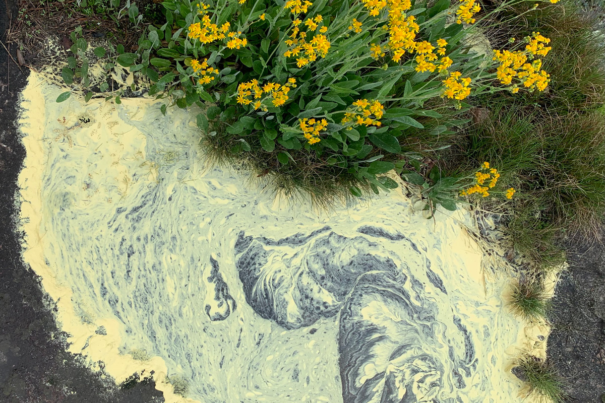Spring pollen collecting in a pool of water at Arabia Mountain National Heritage Area