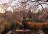 The land trust’s one-and-a-half-acre footprint has developed into a community space where locals can explore nature.